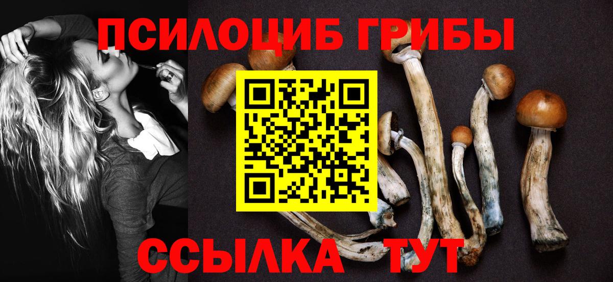 Псилоцибиновые грибы ЛСД  Псилоцибиновые грибы Magic Shrooms  Электросталь  Вход с VPN 