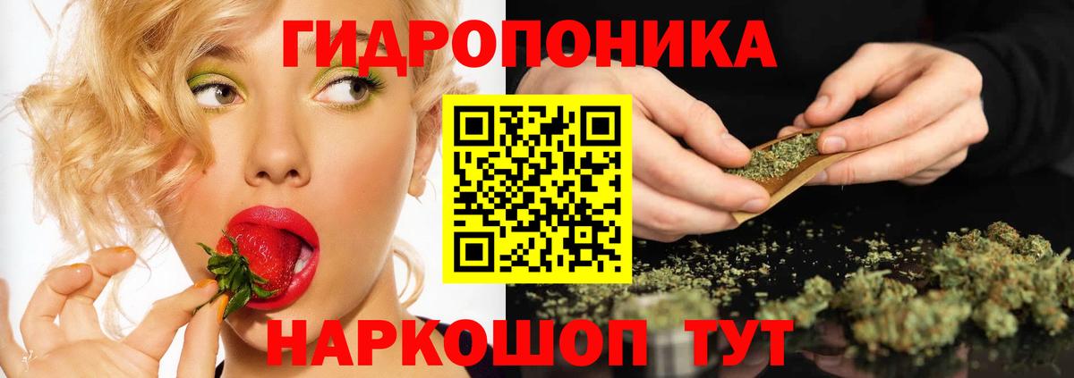 Конопля сатива  Шишки марихуана планчик  Электросталь  Вход с VPN  Конопля конопля 